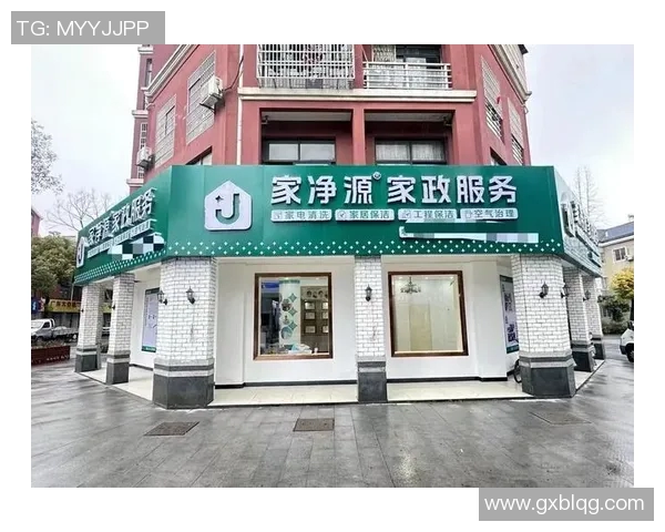 家庭服务全方位提升家政品质助力现代家庭生活质量提升