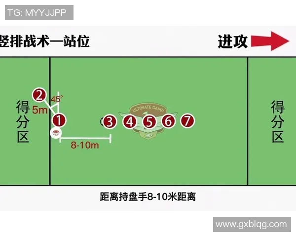 南京飞盘队防守战术解析与实战应用全景透视